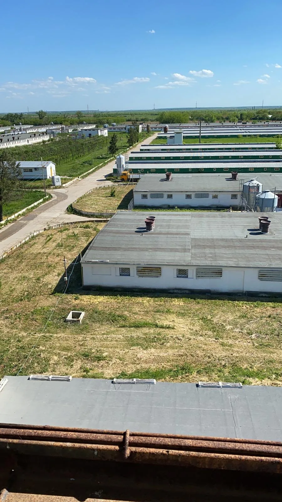 Vedere aeriană a fermei Interprod